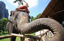 Khao Sok Adventure