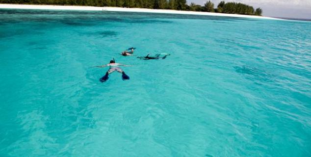 Snorkelling on Zanzibar