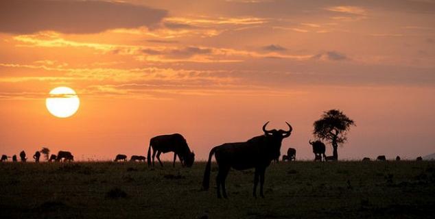 Sunset on the Mara steppes