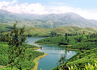 Captivating Kerala