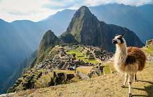 Discover Peru in Depth