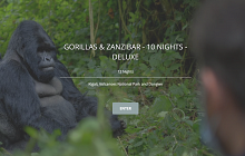 Gorillas & Zanzibar