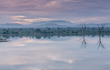 Madikwe & Mauritius