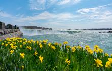 Toronto & Niagara Falls Short Break