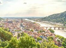 Captivating Rhine