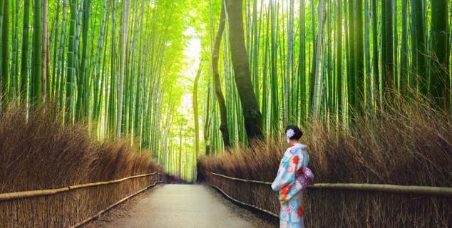 Bamboo Forest, Kyoto
