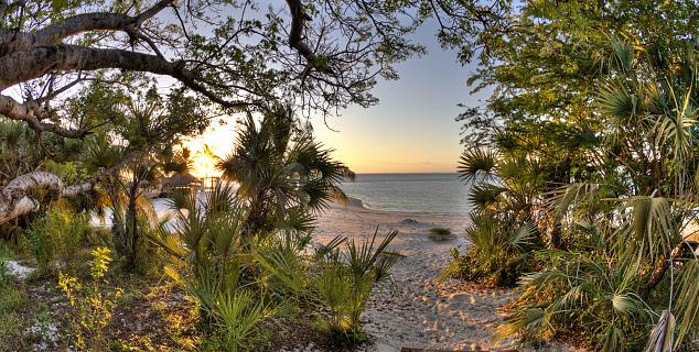 Beach View