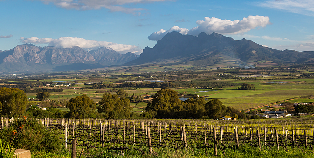 Cape Winelands