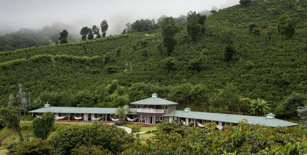 Coffee Estate