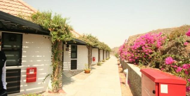 Deluxe Chalets
