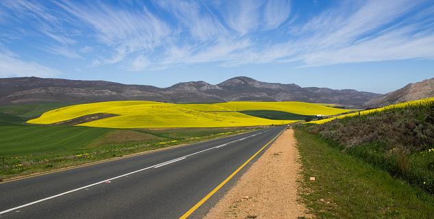 Driving South Africa