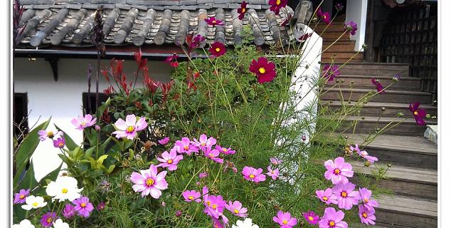 Farm Yard