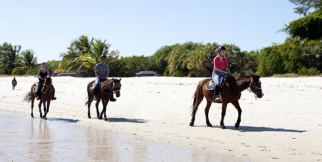 Horse Riding