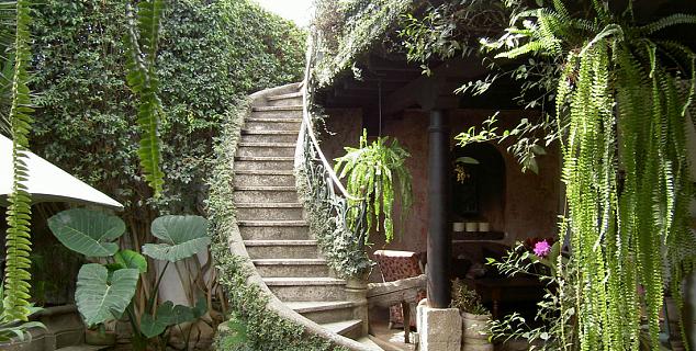 Patio and Garden Area