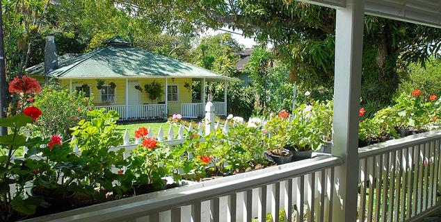 Terrace and Garden