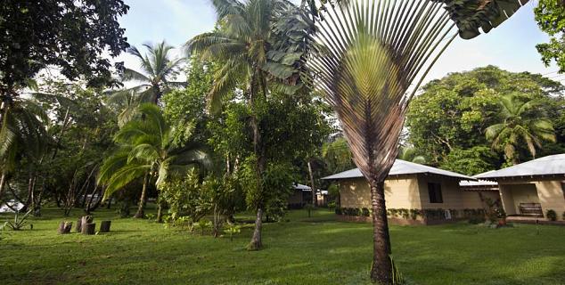 The lush gardens