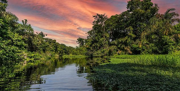 Tortuguero, Costa Rica