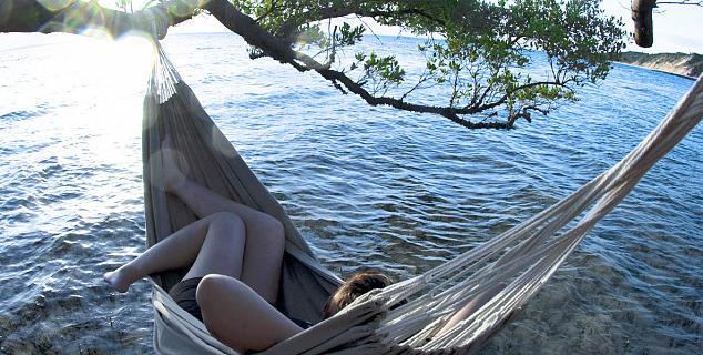 Tree Hammock