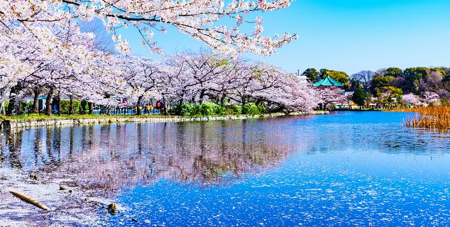 Ueno Park, Tokyo
