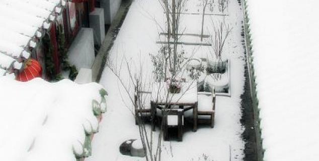 Winter